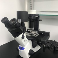 奥林巴斯CKX53倒置荧光显微镜