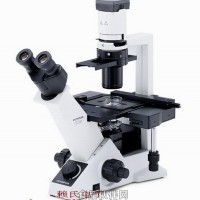 奥林巴斯显微镜CKX53价格