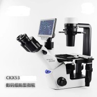 CKX53倒置显微镜OLYMPUS显微镜