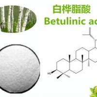 白桦脂酸98%，桦木酸 Betulinic acid