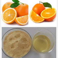 甜橙粉  精细粉末  甜橙果汁粉