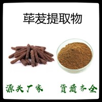 厂家供应 荜茇提取物 水溶性荜茇粉 食品饮料原料