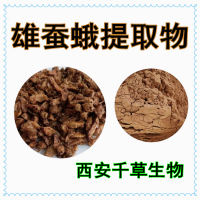 雄蚕蛾烘焙干燥粉 厂家生产原料提取物 定做雄蚕蛾流浸膏