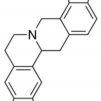 Tetrahydrocoptisine  分析标准品