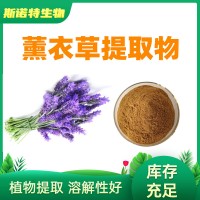 薰衣草提取物10:1 水溶薰衣草粉 香草粉厂家供应