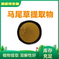 马尾草提取物10:1 马尾草粉 浓缩原料 工厂直发