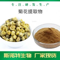 菊花提取物 菊花速溶粉 厂家可定制菊花提取液