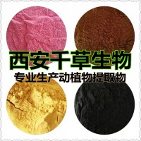 天竺黄提取物 天竺黄浓缩汁粉 天竺黄浸膏粉定制浸膏