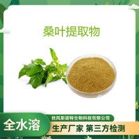 桑叶提取物 桑叶1-DNJ 含量10% 1-脱氧野尻霉素