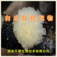 白木耳提取物 白木耳浓缩粉 供应植物提取物 定做流浸膏