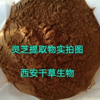 灵芝水溶粉定制植物提取物粉 定做浓缩流浸膏