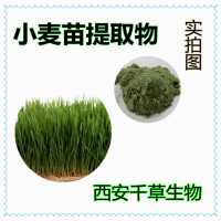 小麦苗提取物 供应植物提取物 小麦苗浓缩浸膏