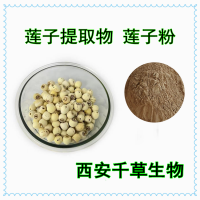 莲子提取物 供应植物提取物 定做莲子浓缩浸膏