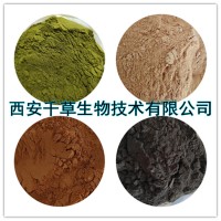 番石榴叶提取物供应植物提取物浓缩浸膏粉