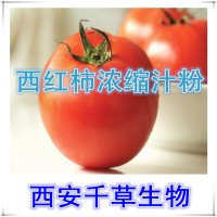 西红柿浓缩汁粉西红柿提取物供应植物提取物西红柿粉