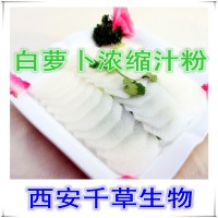 白萝卜提取物 浓缩汁粉 植物提取物 定做浓缩浸膏