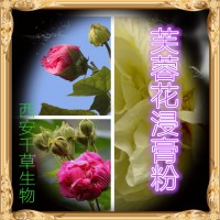 芙蓉花浓缩粉水溶性植物提取物 定做芙蓉花浓缩浸