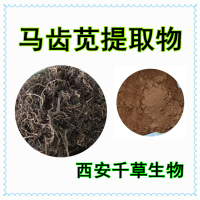 马齿苋提取物供应水溶性植物提取物 定做浓缩浸膏干膏颗粒