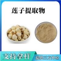 莲子提取物  莲子粉