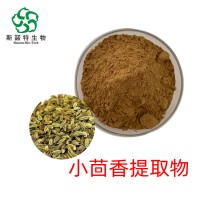 小茴香提取物 速溶小茴香粉 工厂大量现货