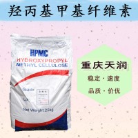 HPMC 羟丙基甲基纤维素 食品级食品品质的改良剂 欢迎订购