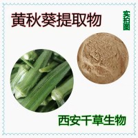 黄秋葵提取物 黄秋葵浓缩粉 厂家生产植物提取物