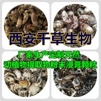 槲叶提取物 西安千草生物供应水溶性熟化粉浓缩干膏