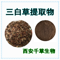 三白草提取物三白草浓缩粉三白草浸膏粉