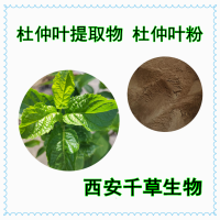 杜仲叶浓缩汁粉 定制水溶性植物提取物杜仲叶浸膏