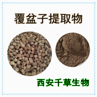 覆盆子浓缩粉供应植物提取物 定制覆盆子浸膏