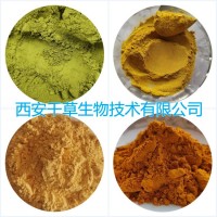 黑苏子提取物黑苏子浓缩粉黑苏子浸膏粉萃取原液干膏