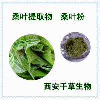 桑叶浓缩浸膏 定制各类植物浸膏