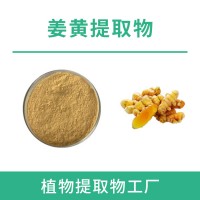 姜黄提取物 姜黄粉  植物原料提取 水溶浓缩粉 速溶粉