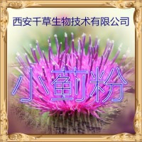 小蓟提取物现货供应植物提取物 定做小蓟浓缩浸膏