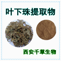 叶下珠提取物叶下珠浸膏供应叶下珠熟化粉浓缩干膏