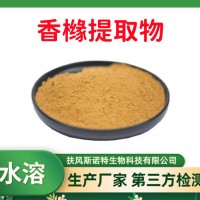 香橼提取物 高含量香橼粉 斯诺特生物 厂家供应