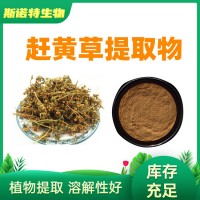 赶黄草提取物 10:1赶黄草粉 水溶原料