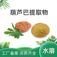 葫芦巴粉 葫芦巴提取物 浓缩 喷雾干燥 生产供应