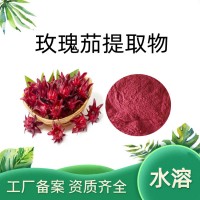 玫瑰茄提取物 水提玫瑰茄粉 食品原料 厂家供应