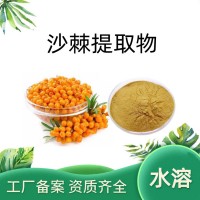 沙棘提取物 浓缩沙棘粉 喷雾干燥 水溶原料