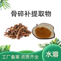 骨碎补提取物 浓缩骨碎补粉 可定制醇提提取液