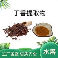 丁香提取物 水提丁香粉 资质齐全 厂家供应