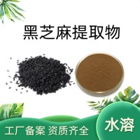 黑芝麻提取物 熟黑芝麻粉 代餐烘焙 食品原料