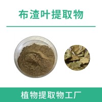 布渣叶提取物10:1 现货供应 原料 布渣叶提取物