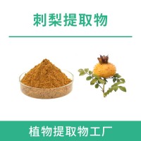 刺梨提取物10:1 刺梨粉 水溶食品原料