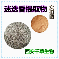 迷迭香浓缩浸膏迷迭香提取物