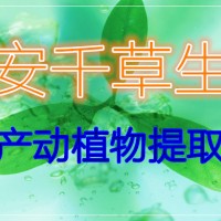 仙赐草提取物 厂家供应动植物浓缩水溶粉 定做流浸膏 颗粒