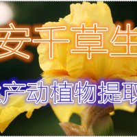 蛇针草提取物供应动植物提取物浓缩汁粉