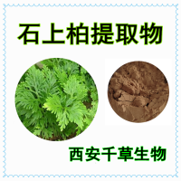 水溶性石上柏提取物石上柏浓缩浸膏粉