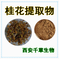 桂花浓缩粉 厂家供应植物提取物定做浓缩浸膏